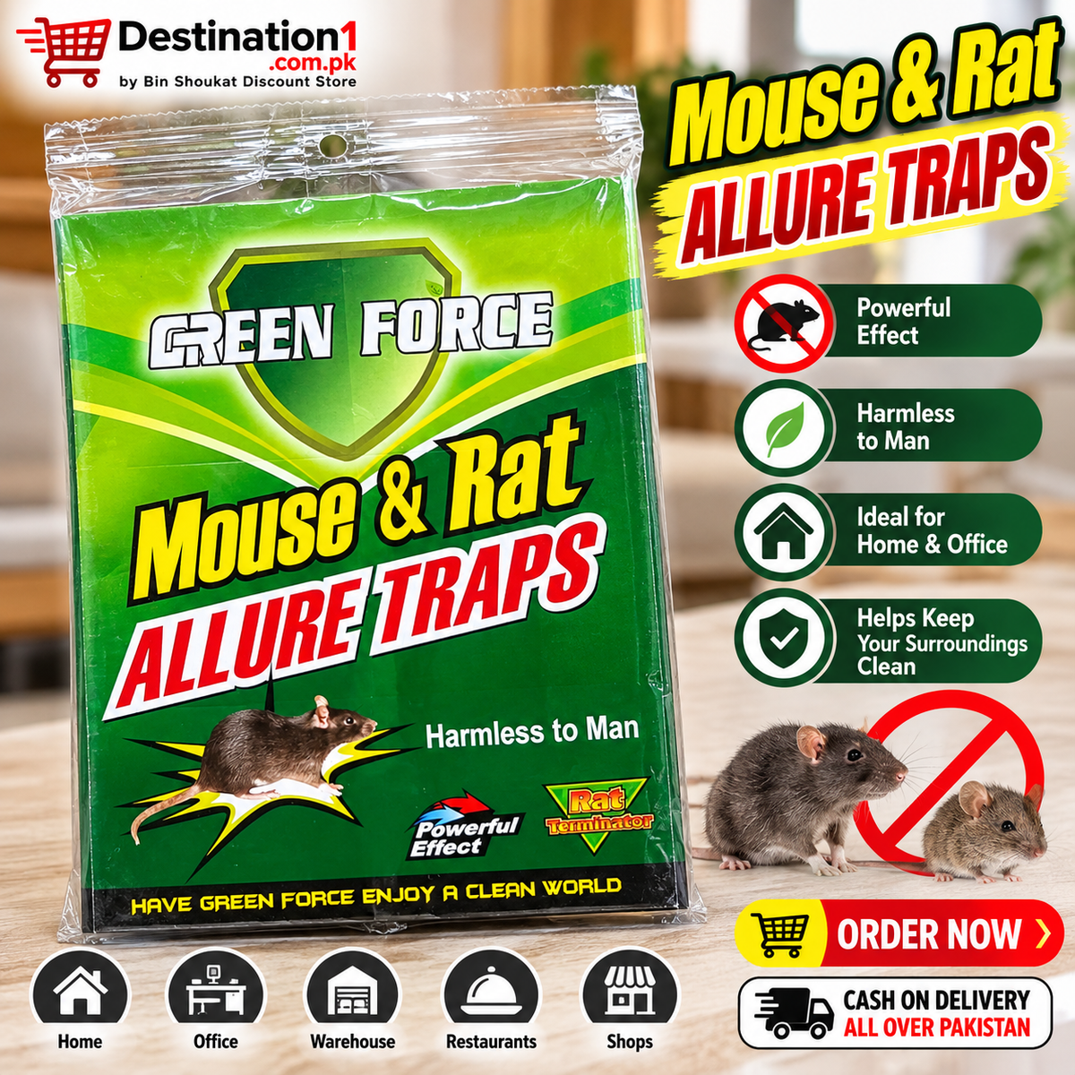 Green Force Mouse & Rat Allure Traps – Powerful Rodent Trap for Home, Office & Shop